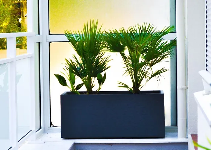 Le Du Brittany アパート *